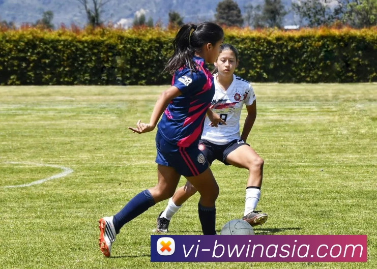 必赢亚洲服务体系